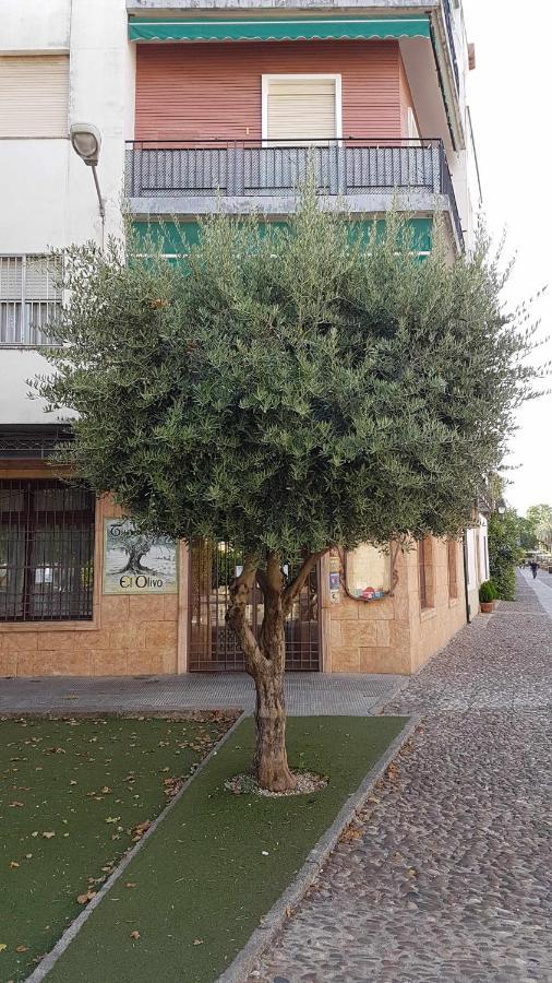 Fantastico Apartamento Junto A La Juderia Cordoba Exterior photo